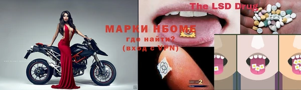 ГАЛЛЮЦИНОГЕННЫЕ ГРИБЫ Алексин
