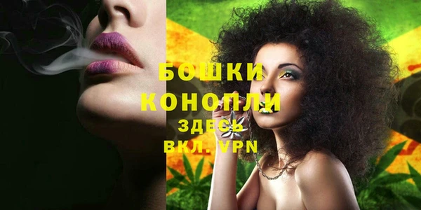 ГАЛЛЮЦИНОГЕННЫЕ ГРИБЫ Алексин