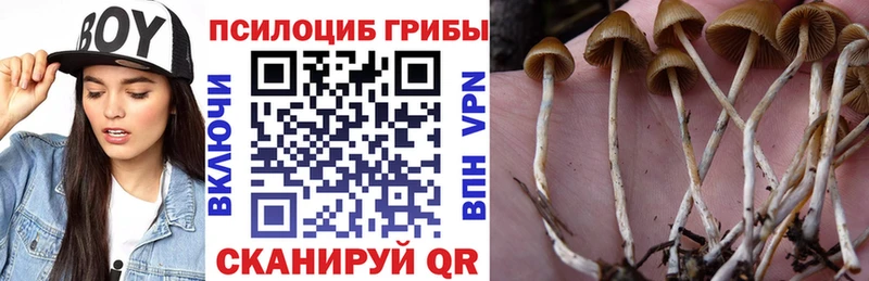 продажа наркотиков  Лебедянь  Псилоцибиновые грибы ЛСД 